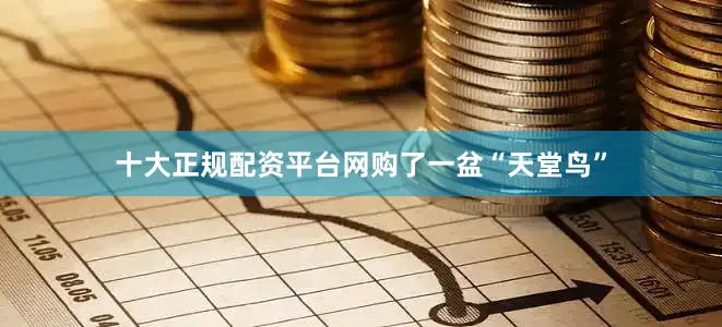 十大正规配资平台网购了一盆“天堂鸟”