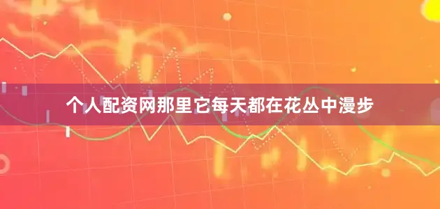 个人配资网那里它每天都在花丛中漫步
