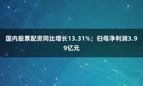 国内股票配资同比增长13.31%；归母净利润3.99亿元