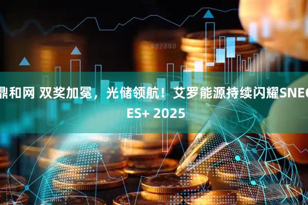 鼎和网 双奖加冕，光储领航！艾罗能源持续闪耀SNEC ES+ 2025