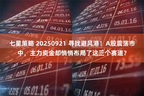 七星策略 20250921 寻找避风港！A股震荡市中，主力资金却悄悄布局了这三个赛道？