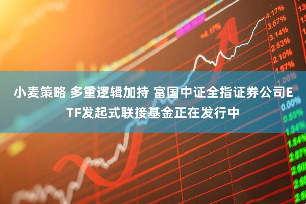小麦策略 多重逻辑加持 富国中证全指证券公司ETF发起式联接基金正在发行中