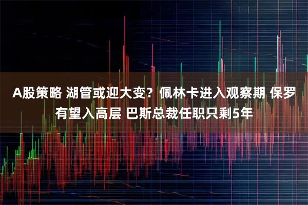 A股策略 湖管或迎大变？佩林卡进入观察期 保罗有望入高层 巴斯总裁任职只剩5年